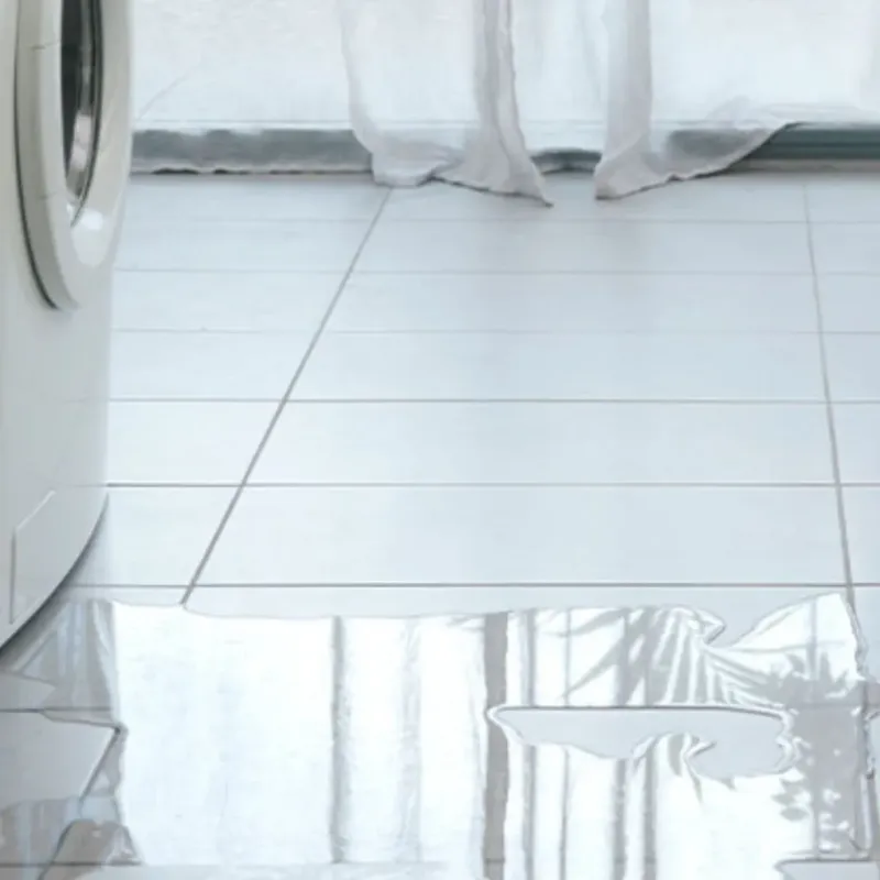 Appliance Leak Cleanup in Pageland, SC