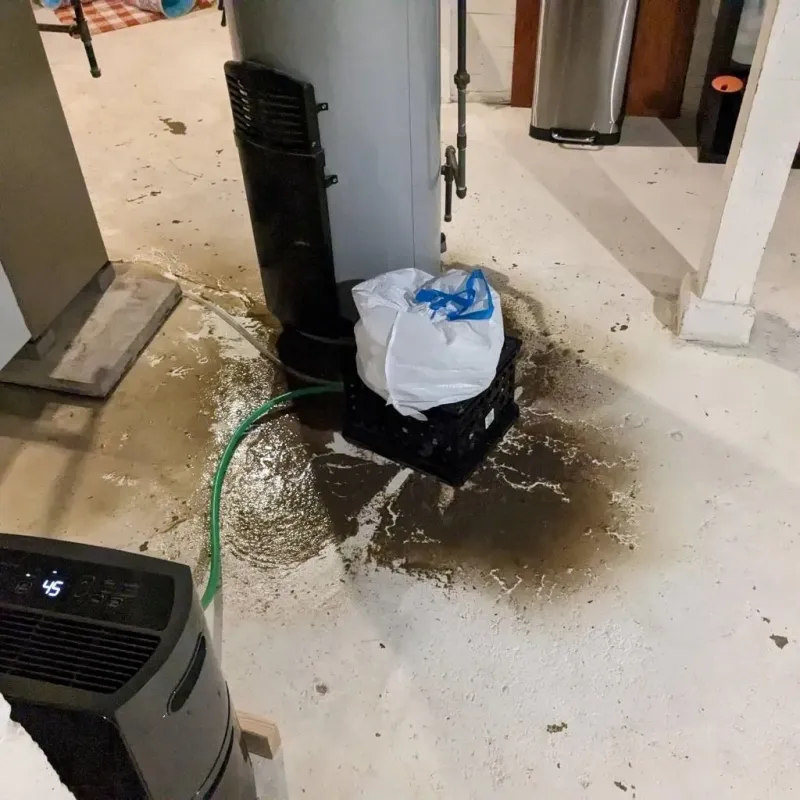 Sewage Backup Cleanup Service in Pageland, SC